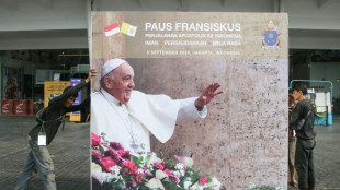 Le pape rencontre le pr&eacute;sident indon&eacute;sien &agrave; l'entame d'une tourn&eacute;e marathon