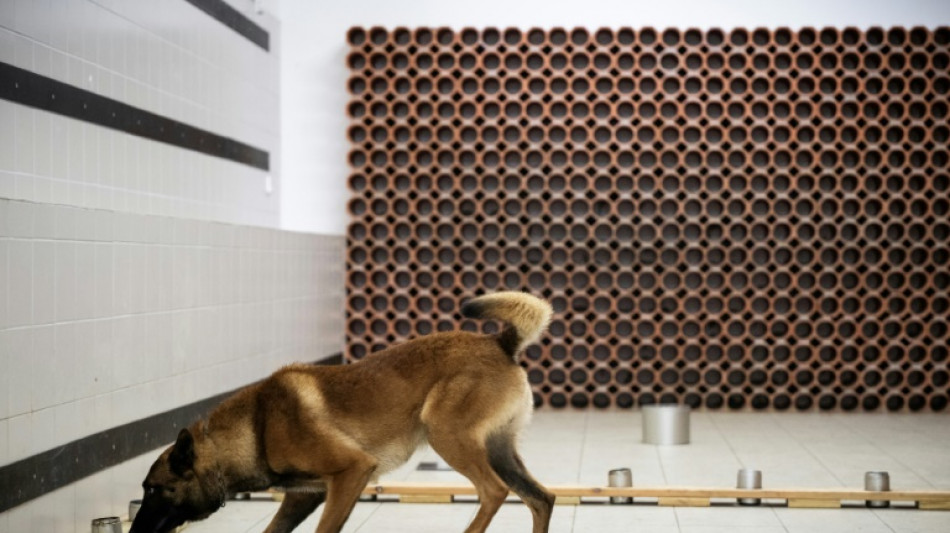 Flairer disques durs et cl&eacute;s USB, la nouvelle mission des chiens gendarmes