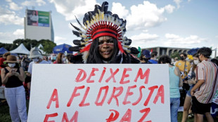 Brasilianische Stars nehmen an Demo gegen Bolsonaros Umweltpolitik teil