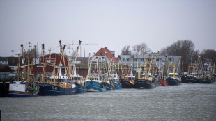 Seenotretter fischen vor Büsum Reh aus Nordsee