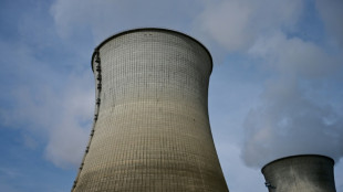 Paris schmiedet Atomkoalition mit Blick auf Finanzierungswege