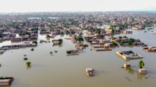 2022, l'&eacute;t&eacute; o&ugrave; l'h&eacute;misph&egrave;re nord a senti la violence du r&eacute;chauffement climatique