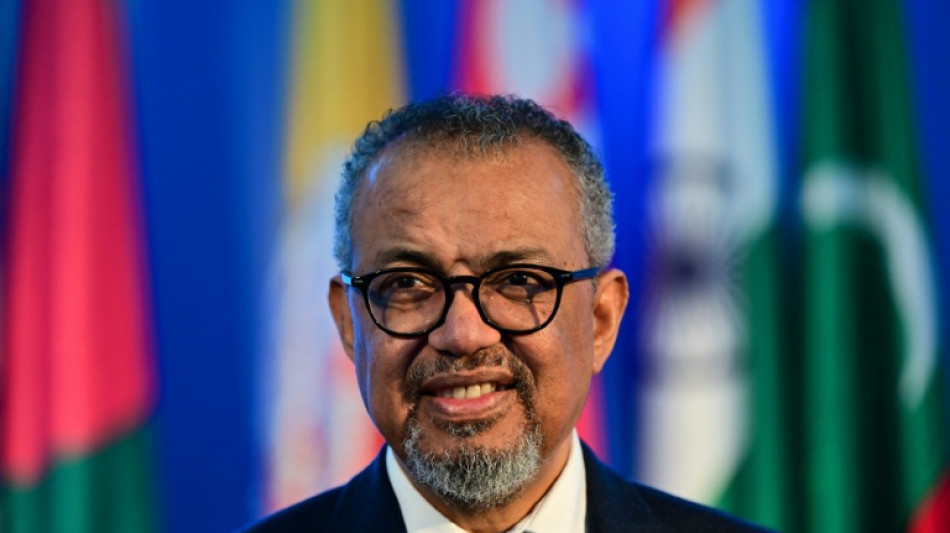 Vieux rem&egrave;des et IA: l'OMS recherche des preuves d'efficacit&eacute; de la m&eacute;decine traditionnelle
