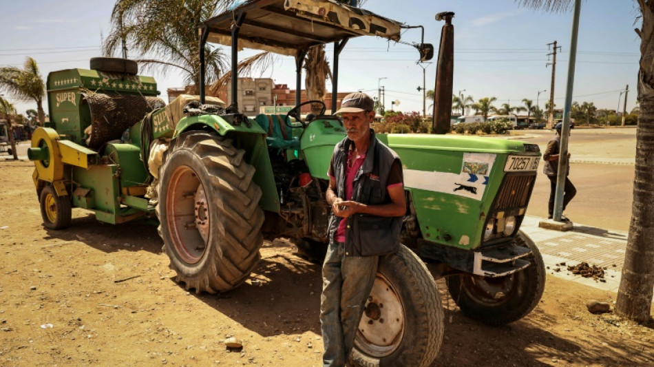 Maroc: la s&eacute;cheresse aggrave le ch&ocirc;mage dans les zones rurales