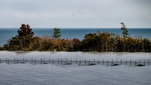 Región japonesa de Fukushima forja su futuro renovable tras desastre nuclear