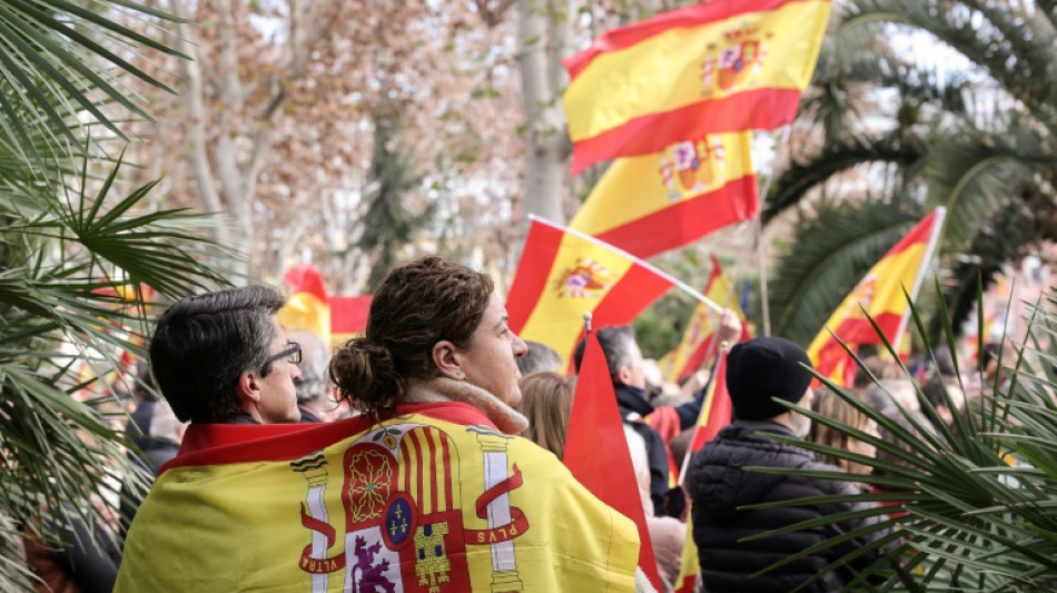 El Parlamento espa&ntilde;ol empieza el examen del pol&eacute;mico plan de amnist&iacute;a a independentistas catalanes