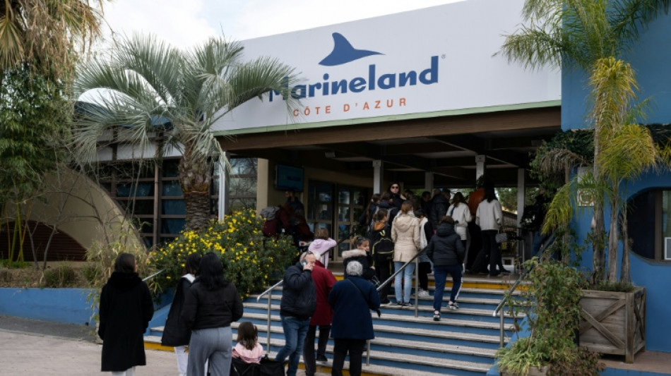 Marineland exhorte les pouvoirs publics &agrave; agir pour le transfert de ses c&eacute;tac&eacute;s