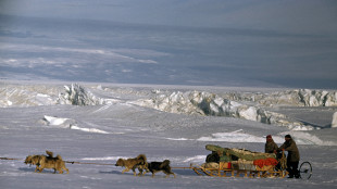 La calotta dell'Antartide si form&ograve; in due fasi distinte