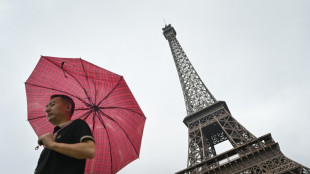 'Eiffel Tower' lights up quiet suburb in Chinese city