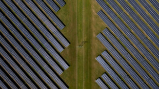 IEA: Photovoltaik-Boom treibt Ausbau der Erneuerbaren voran