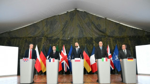 Abstimmung &uuml;ber Ukraine: Pistorius trifft Verteidigungsminister-Kollegen in Paris