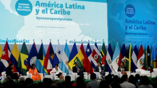 Am&eacute;rica Latina vai &agrave; COP28 com avan&ccedil;os e desafios para enfrentar mudan&ccedil;a clim&aacute;tica