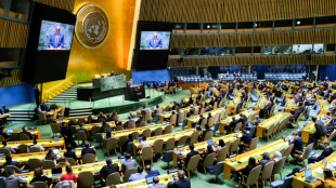 Los palestinos logran victoria simbólica para convertirse en estado miembro de la ONU