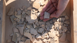 Le pi&ugrave; antiche forme geometriche incise su uova di struzzo di 60 mila anni fa