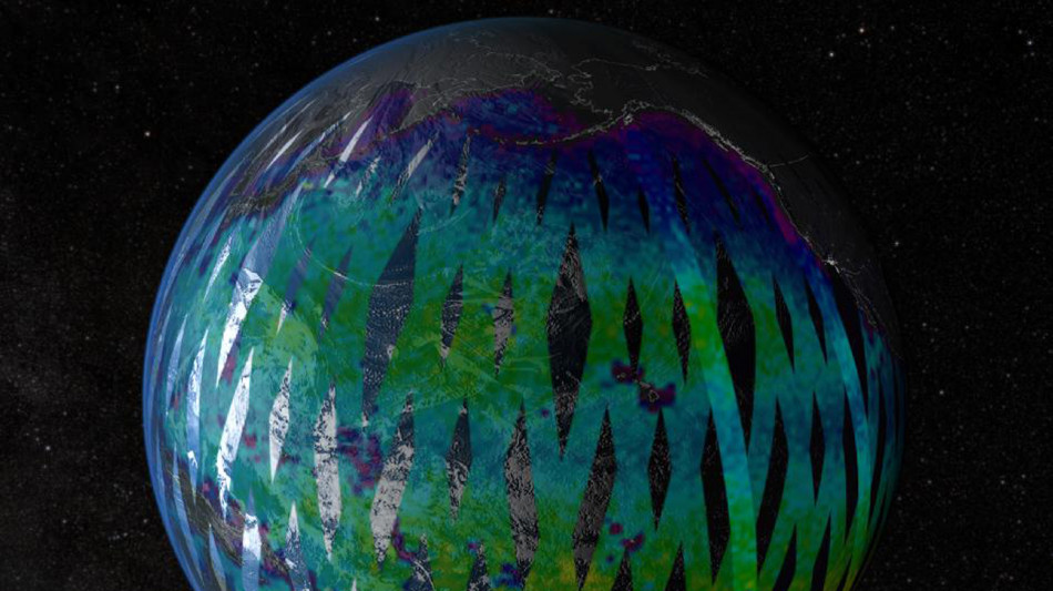 Un campanello d'allarme dalle ondate di calore marino del 2023