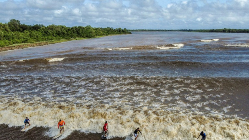 Une vague d'eau douce met les surfeurs au d&eacute;fi en Amazonie