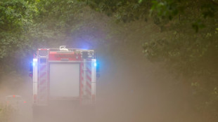 Brand im Berliner Grunewald l&ouml;st Gro&szlig;einsatz der Feuerwehr aus