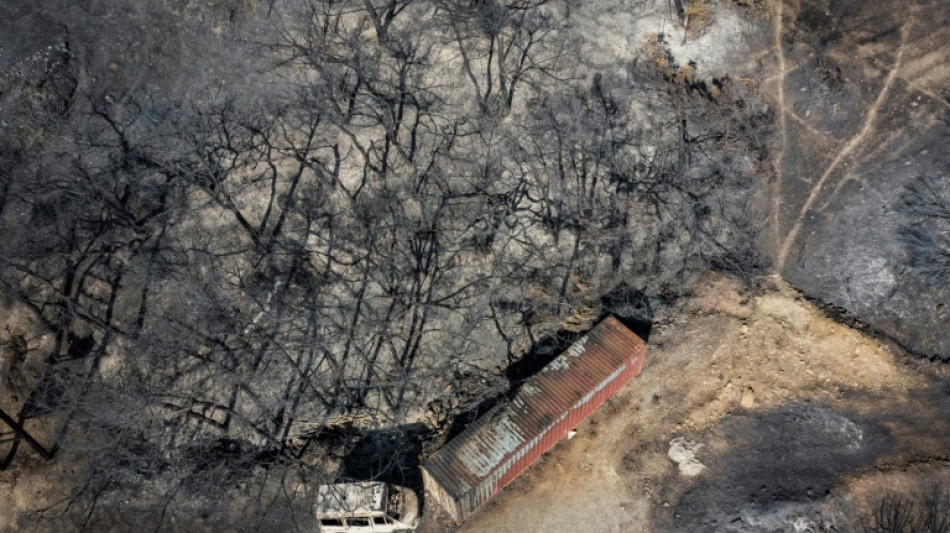Los pa&iacute;ses de la cuenca mediterr&aacute;nea combaten los incendios y el calor
