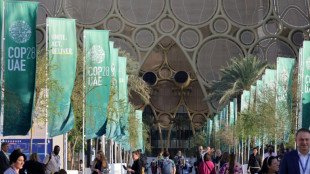 Weltklimakonferenz in Dubai geht in die Verlängerung