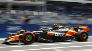 Norris domina treino livre do GP do Brasil; Verstappen perde 5 posi&ccedil;&otilde;es no grid