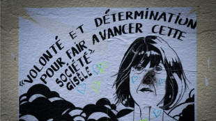 Vergewaltigungsprozess in Avignon: Hauptt&auml;ter Pelicot zu 20 Jahren Haft verurteilt