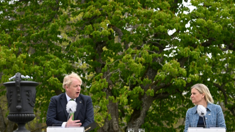 Suecia y Reino Unido anuncian un acuerdo de defensa mutua