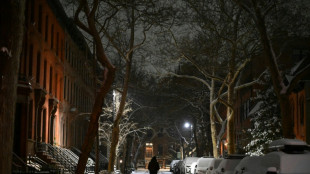 Cae la primera nevada en Nueva York en dos años