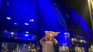 I maiali uno dei temi centrali e pi&ugrave; divisivi nel voto in Danimarca