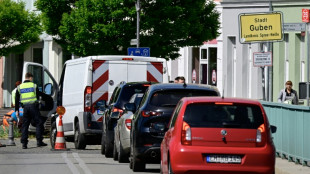 Grenzkontrollen kosten &uuml;ber 50 Millionen Euro im Halbjahr - Vor Versch&auml;rfung