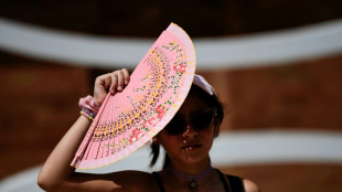 Espa&ntilde;a registr&oacute; el s&aacute;bado 46 &ordm;C, el r&eacute;cord de temperatura para junio, confirm&oacute; la agencia de meteorolog&iacute;a