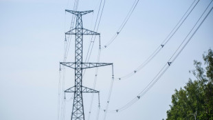 Nach Abkehr von Russland: Baltische Staaten an europ&auml;isches Stromnetz angeschlossen