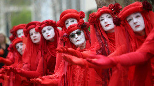 Miles se manifiestan por la biodiversidad frente al Parlamento brit&aacute;nico