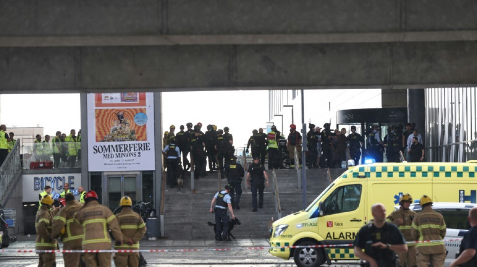Polizei: Drei Tote durch Schüsse in Kopenhagener Einkaufszentrum