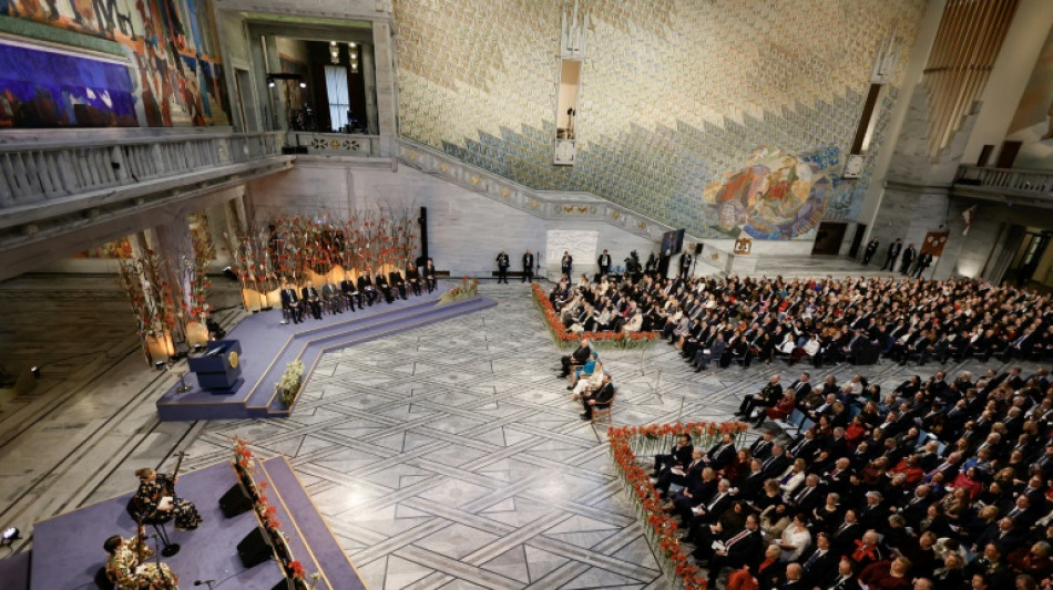 Mehr als 300 Nominierungen f&uuml;r diesj&auml;hrigen Friedensnobelpreis