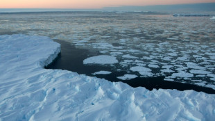 La cobertura de hielo marino global, en un m&iacute;nimo hist&oacute;rico en febrero, seg&uacute;n Copernicus