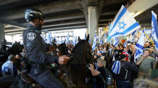 Cientos de israel&iacute;es se manifiestan en contra de la reforma judicial en el aeropuerto de Tel Aviv