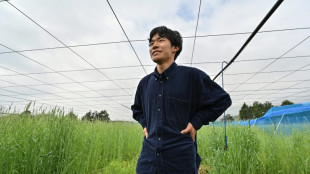 Con sus kiwis, un joven agricultor da nueva vida a la regi&oacute;n de la cat&aacute;strofe de Fukushima