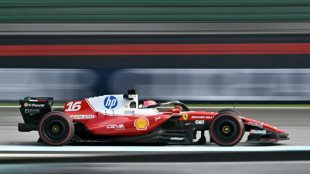 Ferrari y Red Bull marcan el ritmo en los primeros entrenamientos del GP de Bar&eacute;in de F1