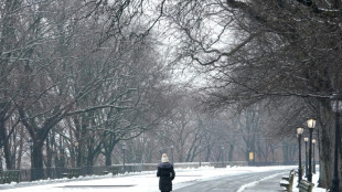 Apr&egrave;s un hiver doux, New York enfin sous la neige