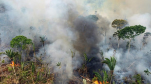 Br&eacute;sil: Lula annonce un nouveau plan contre la d&eacute;forestation de l'Amazonie