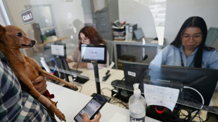 El Salvador lucrou US$ 443 milh&otilde;es com alta do bitcoin desde 2021