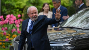 Lula diz que Charles III lhe pediu especialmente para 'cuidar da Amazônia'
