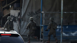 L'arm&eacute;e isra&eacute;lienne &agrave; "l'offensive", nouvelle op&eacute;ration &agrave; J&eacute;nine