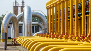 EU-Kommission genehmigt Reiches Pl&auml;ne f&uuml;r neue Gaskraftwerke