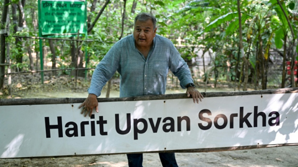 India's 'Tree Father' plants for a greener future