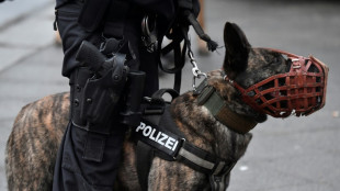29-Jähriger beißt Polizeihund bei Kontrolle in Hessen - Tier unverletzt