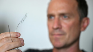 Implants c&eacute;r&eacute;braux: la course aux cyborgs monte en puissance