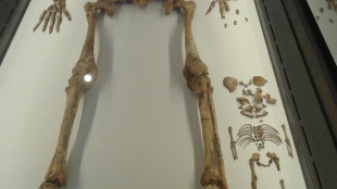 Madre del paleolitico di Ostuni, il feto era un maschio