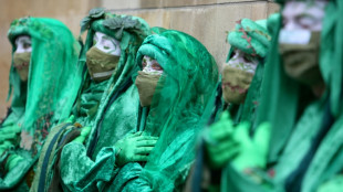 Des milliers de manifestants &agrave; Londres pour la plan&egrave;te et contre "l'inaction du gouvernement"