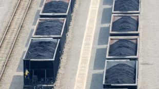 La Chine a acc&eacute;l&eacute;r&eacute; sur les centrales au charbon en 2022